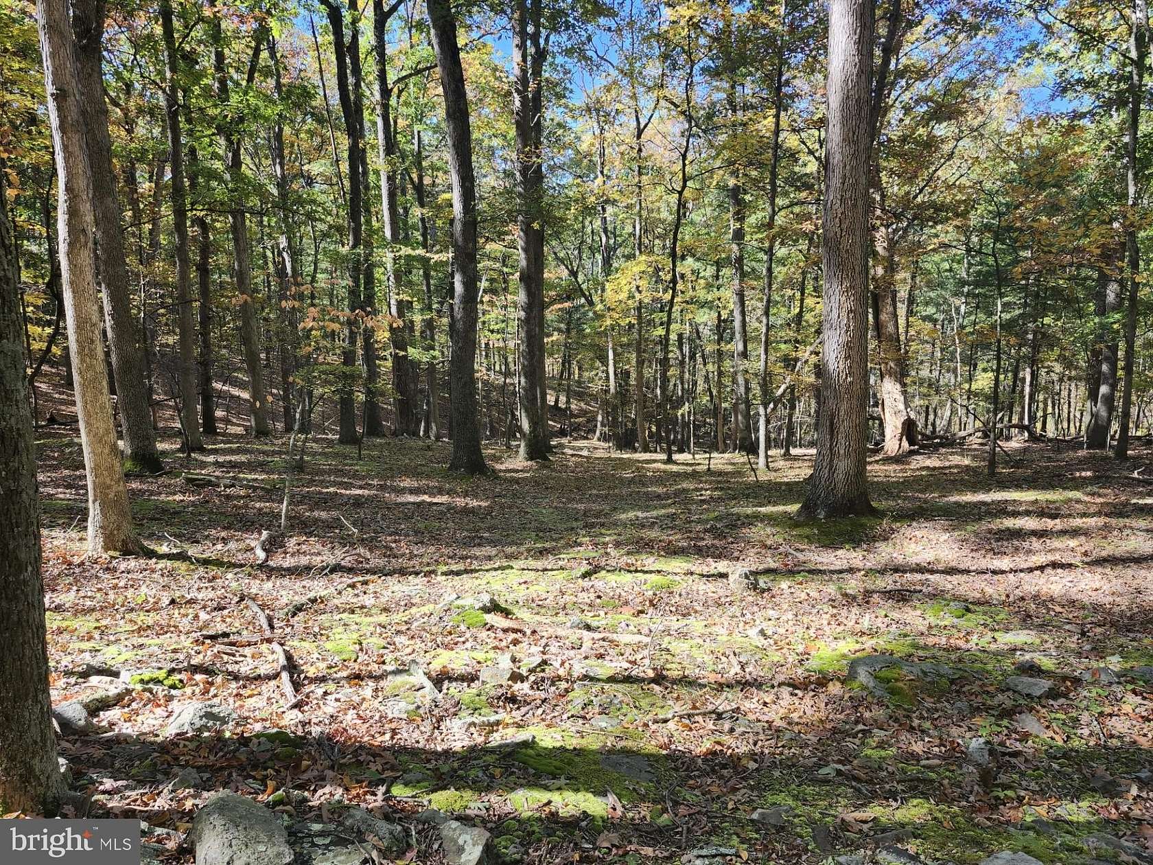 11 Acres of Recreational Land for Sale in Romney, West Virginia