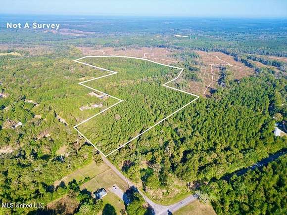 54.11 Acres of Recreational Land for Sale in Poplarville, Mississippi