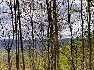 29.37 Acres of Recreational Land for Sale in Englewood, Tennessee