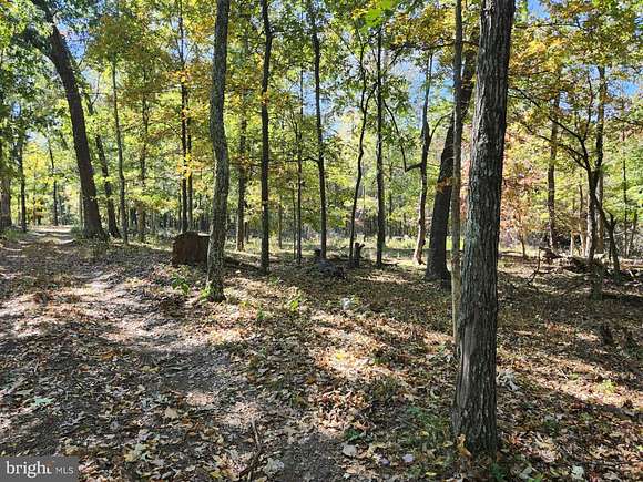 15.25 Acres of Recreational Land for Sale in Romney, West Virginia