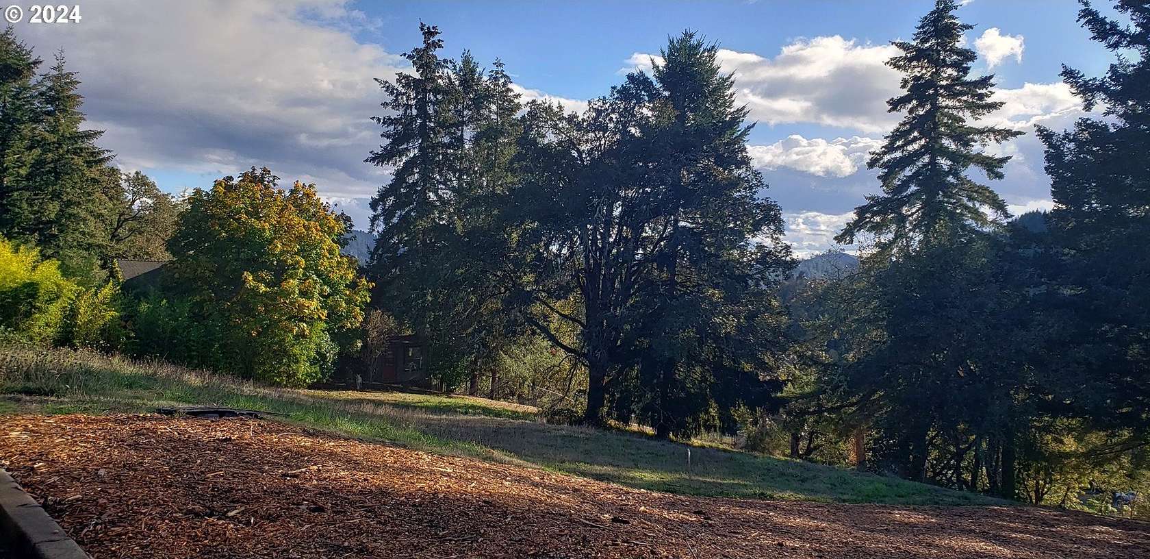 0.35 Acres of Residential Land for Sale in Elkton, Oregon