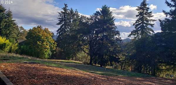 0.35 Acres of Residential Land for Sale in Elkton, Oregon