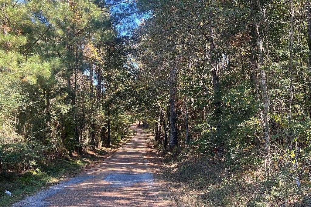 18.5 Acres of Recreational Land for Sale in Smithdale, Mississippi