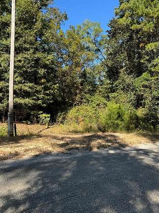 Residential Land for Sale in Abbeville, Alabama