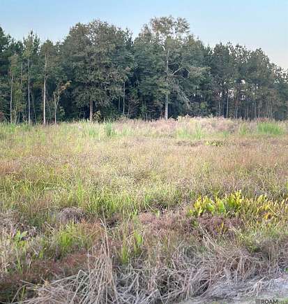 5.1 Acres of Residential Land for Sale in Walker, Louisiana