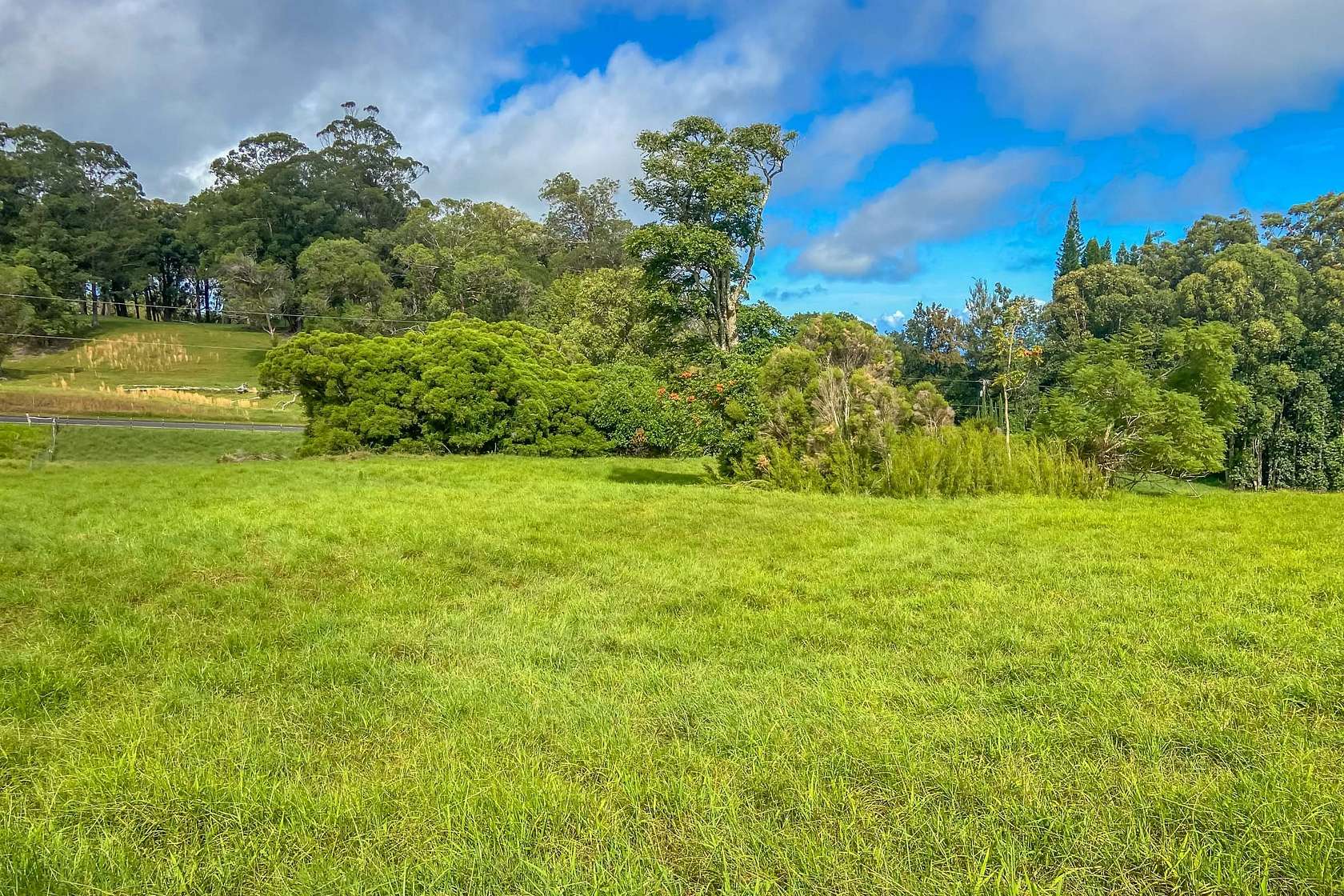 5 Acres of Residential Land for Sale in Honokaa, Hawaii