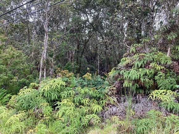 0.237 Acres of Residential Land for Sale in Volcano, Hawaii