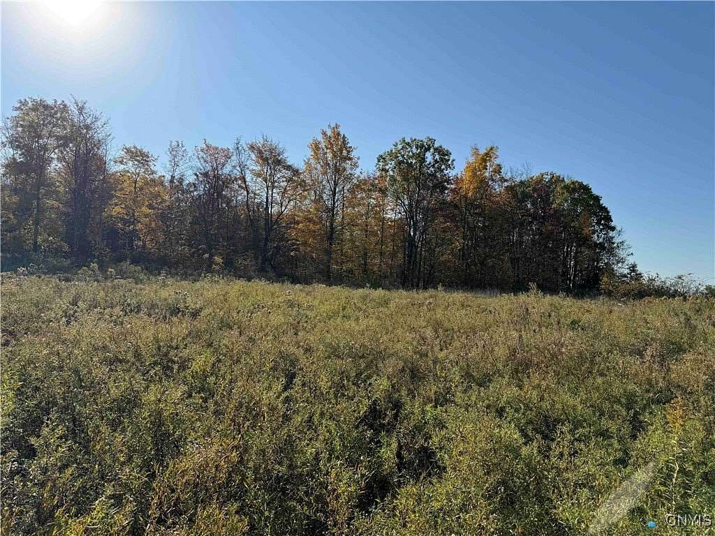 12.6 Acres of Land for Sale in Gerry, New York