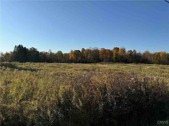 21.2 Acres of Land for Sale in Gerry, New York