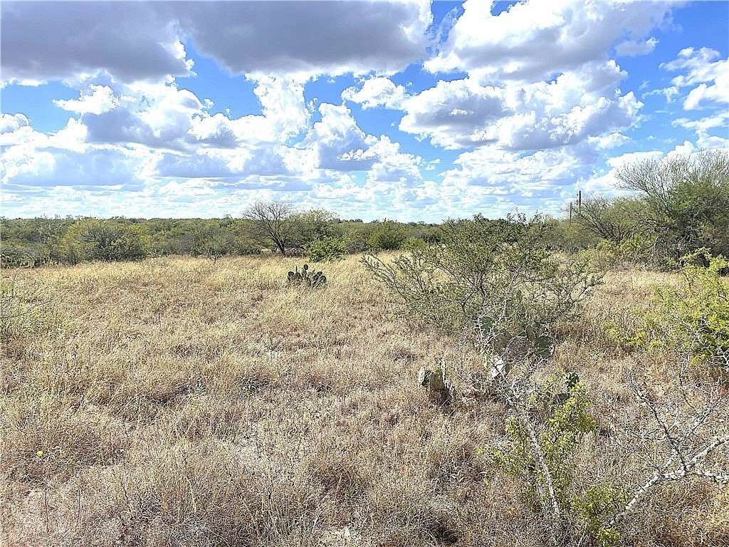 26.33 Acres of Land for Sale in George West, Texas