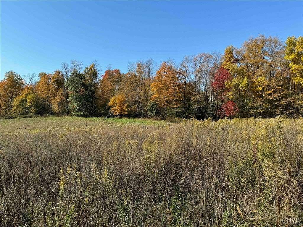 10.8 Acres of Recreational Land for Sale in Gerry, New York