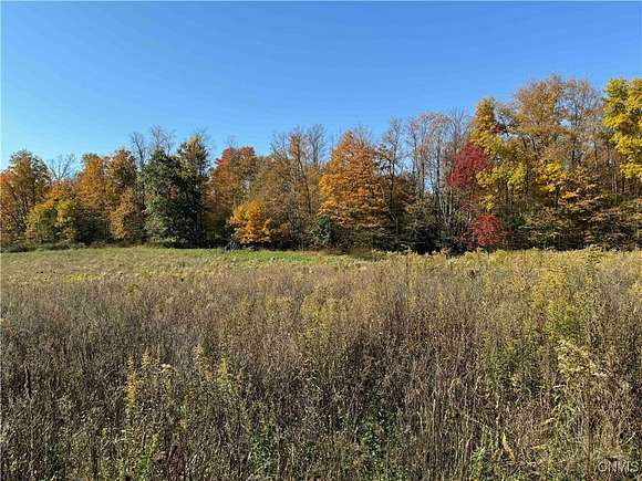 10.8 Acres of Recreational Land for Sale in Poland Town, New York