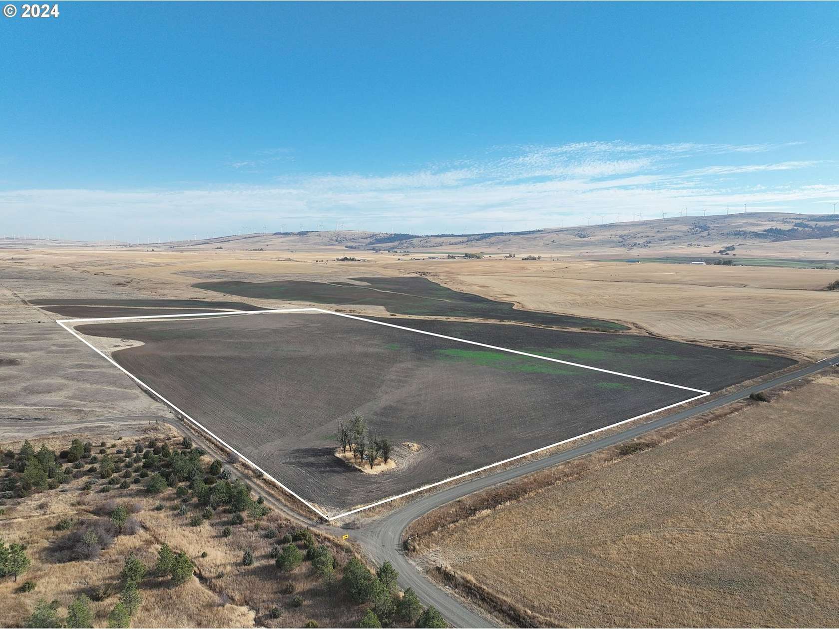 20.46 Acres of Land for Sale in Goldendale, Washington