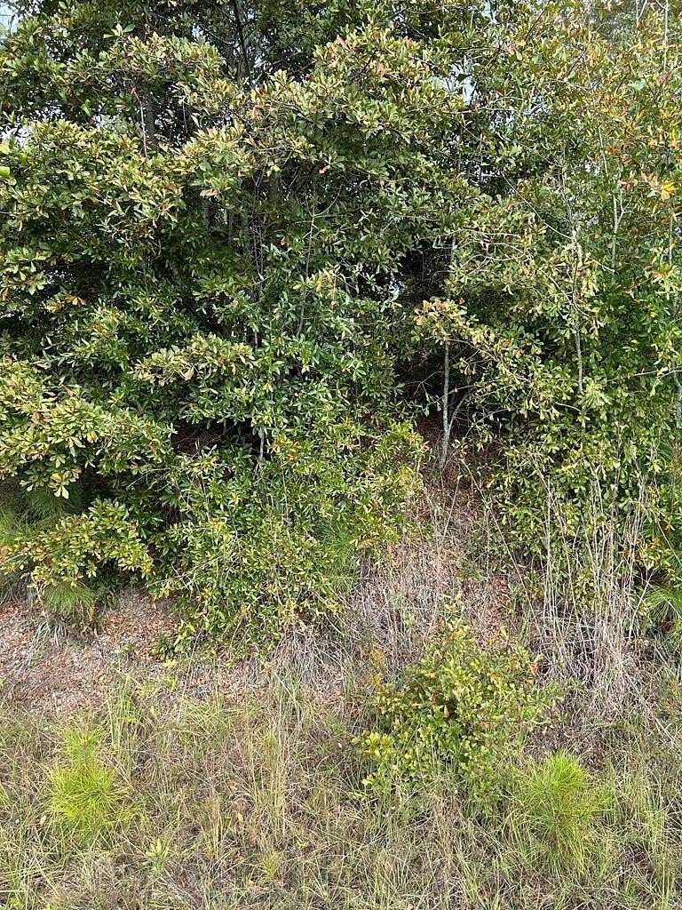 15.13 Acres of Land for Sale in Preston, Georgia