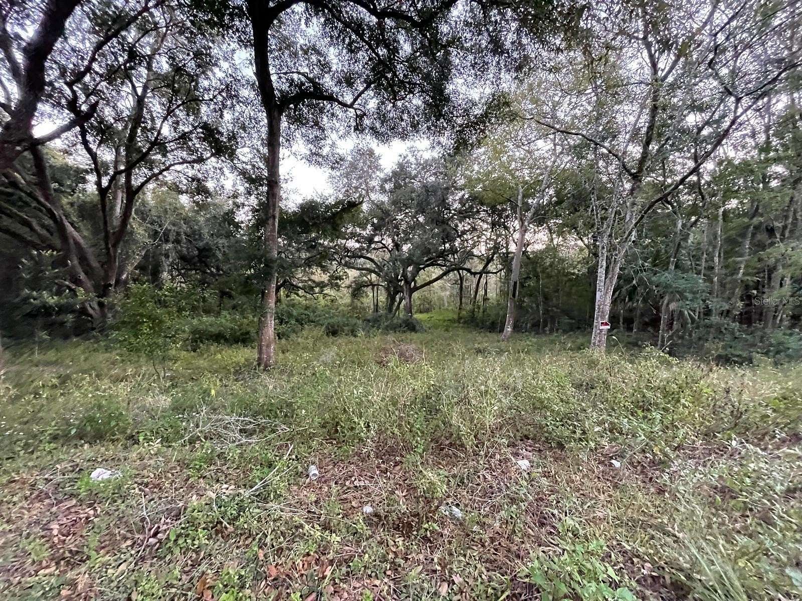 0.3 Acres of Residential Land for Sale in Belleview, Florida