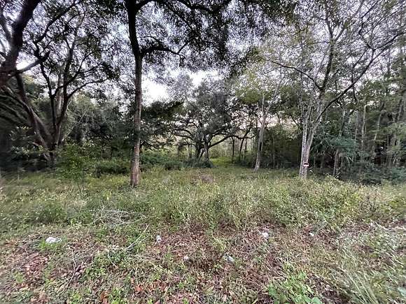 0.3 Acres of Residential Land for Sale in Belleview, Florida