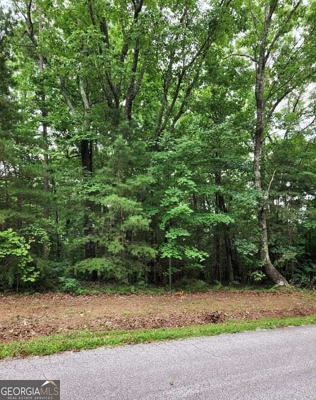 2 Acres of Residential Land for Sale in Clarkesville, Georgia