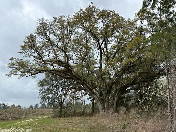 26.57 Acres of Recreational Land & Farm for Sale in DeFuniak Springs, Florida