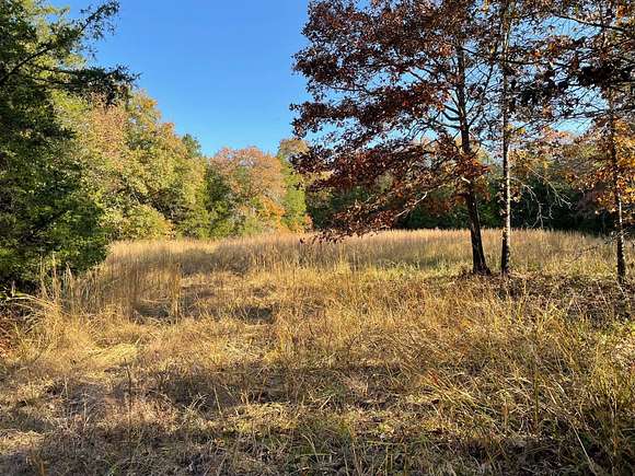 40 Acres of Land for Sale in Smithville, Arkansas