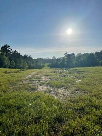 5 Acres of Residential Land for Sale in Many, Louisiana