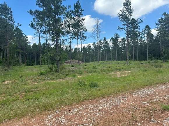 10.12 Acres of Recreational Land for Sale in Nacogdoches, Texas