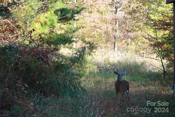 3.67 Acres of Land for Sale in Weaverville, North Carolina