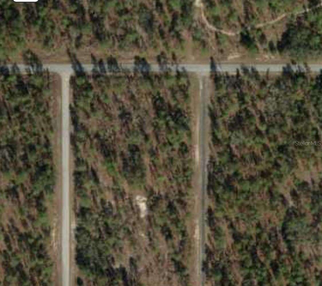 0.25 Acres of Residential Land for Sale in Dunnellon, Florida