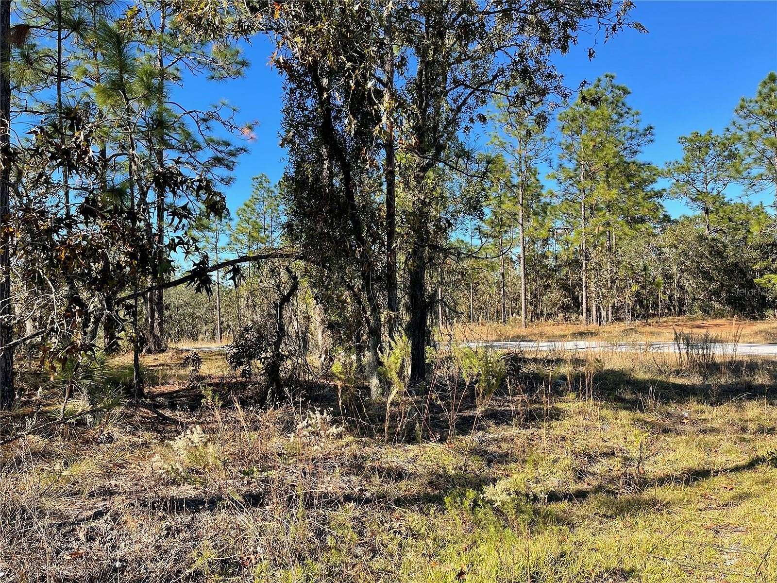 0.25 Acres of Residential Land for Sale in Dunnellon, Florida