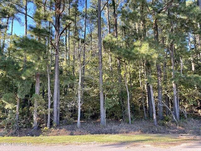 0.23 Acres of Residential Land for Sale in Hertford, North Carolina