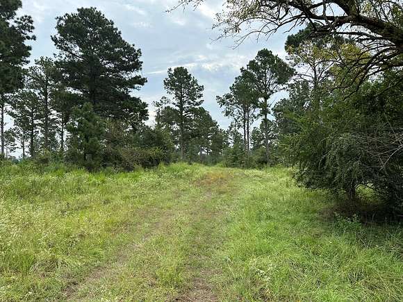 67.26 Acres of Land for Sale in Jacksonville, Texas