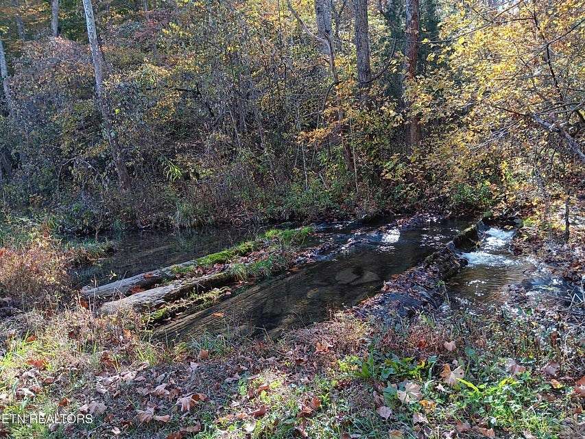 78.3 Acres of Land for Sale in Sneedville, Tennessee