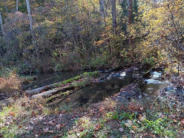 78.3 Acres of Land for Sale in Sneedville, Tennessee