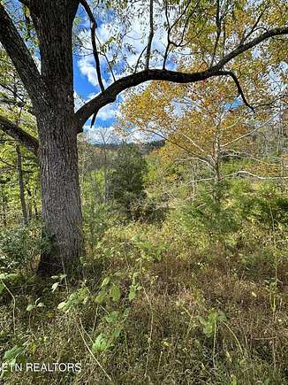 70 Acres of Recreational Land & Farm for Sale in Church Hill, Tennessee