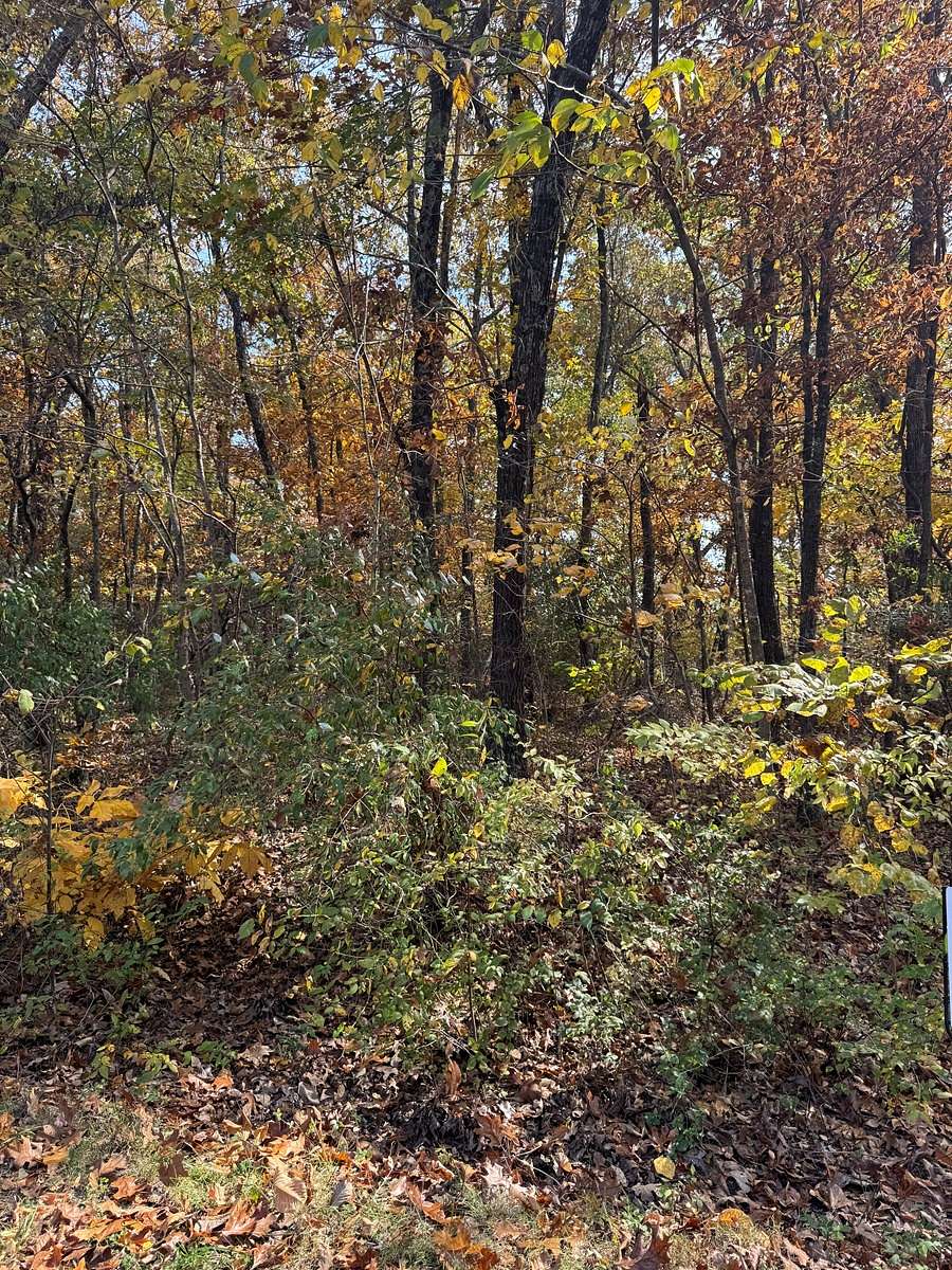 0.37 Acres of Residential Land for Sale in Cherokee Village, Arkansas