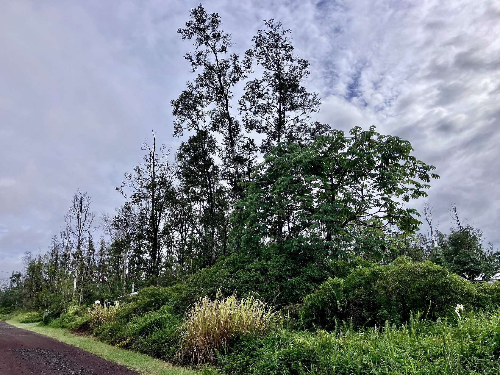 0.276 Acres of Land for Sale in Pahoa, Hawaii