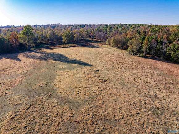 57.6 Acres of Agricultural Land for Sale in Section, Alabama