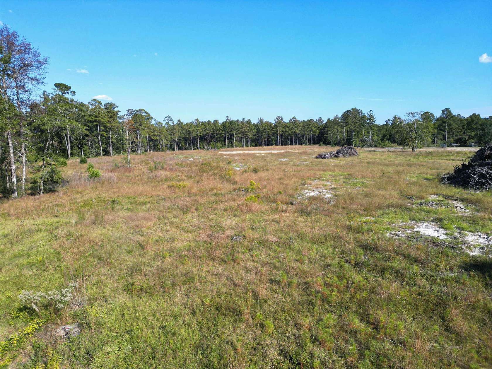 14 Acres of Land for Sale in Hosford, Florida