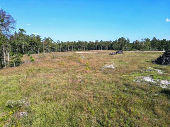 14 Acres of Land for Sale in Hosford, Florida