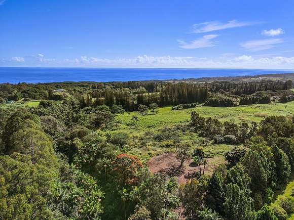 15.4 Acres of Land for Sale in Hakalau, Hawaii