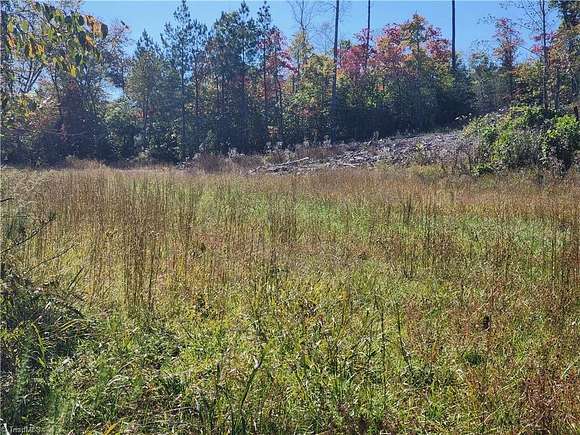 52.528 Acres of Land for Sale in Pilot Mountain, North Carolina