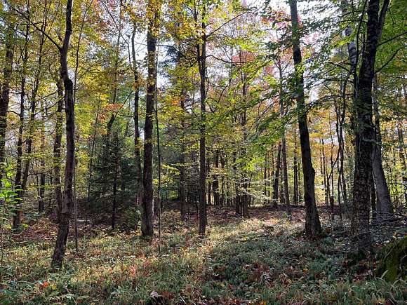 6.15 Acres of Land for Sale in Colton, New York