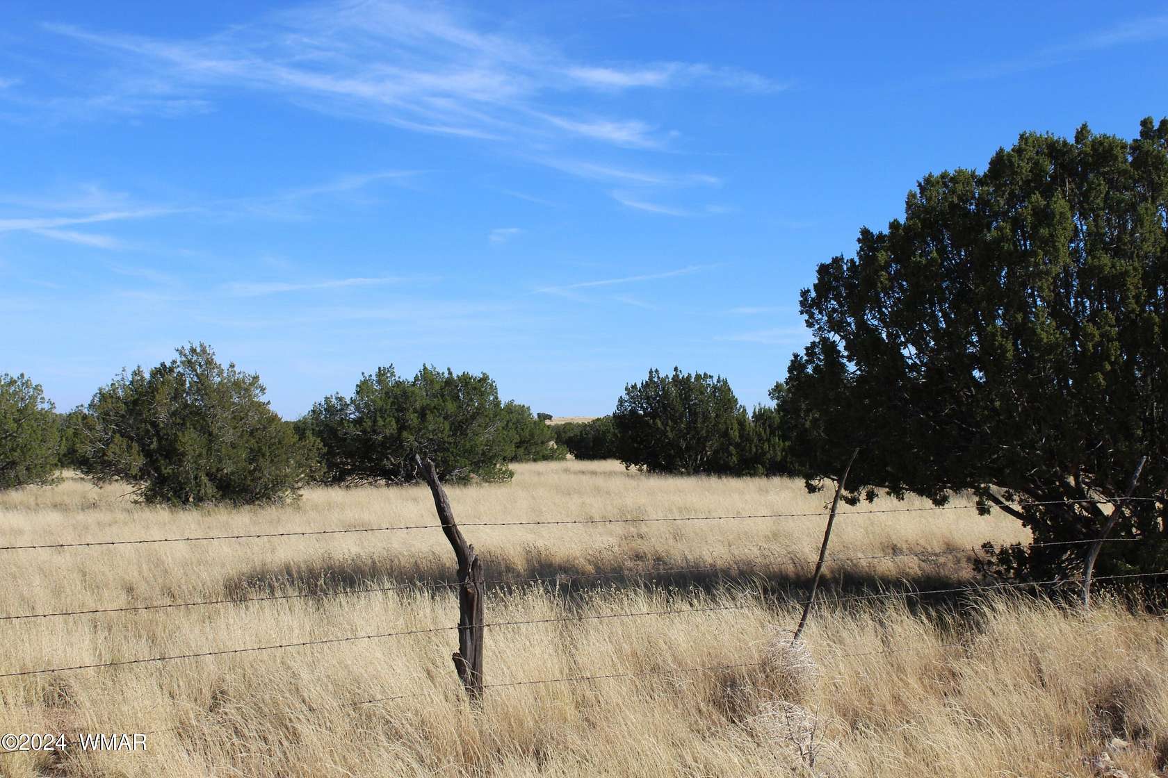 80 Acres of Recreational Land for Sale in Heber, Arizona