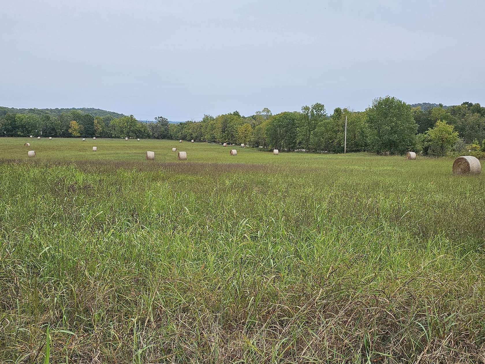 38 Acres of Recreational Land & Farm for Sale in Pineville, Missouri