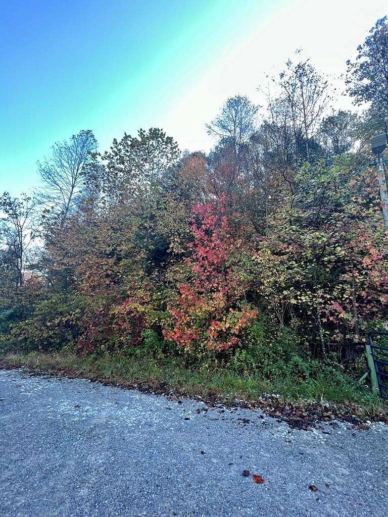 142 Acres of Land for Sale in Martin, Kentucky