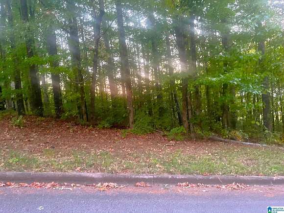 0.36 Acres of Land for Sale in Clay, Alabama