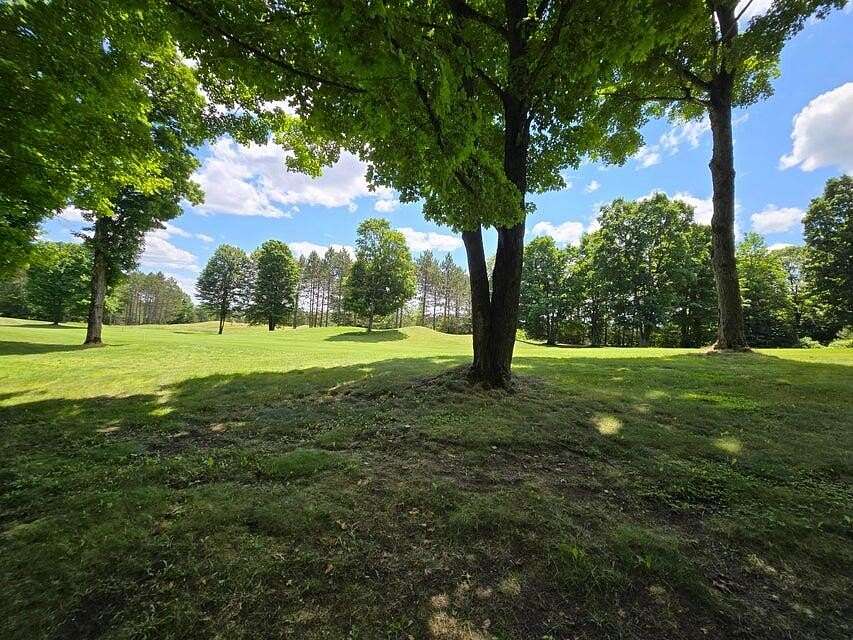 Residential Land for Sale in Vanderbilt, Michigan