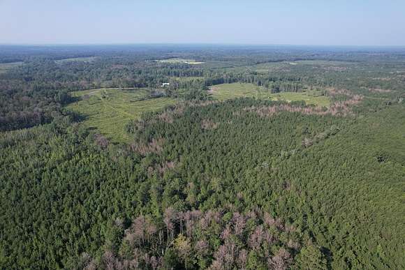 173 Acres of Recreational Land for Sale in Wesson, Mississippi