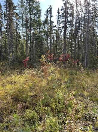 2,662 Acres of Land for Sale in Ishpeming, Michigan