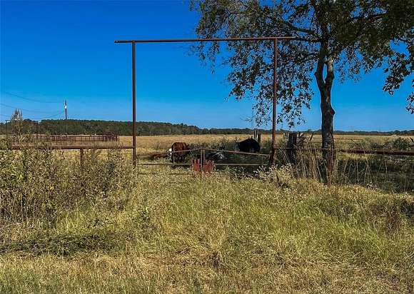 58.092 Acres of Agricultural Land for Sale in Canton, Texas