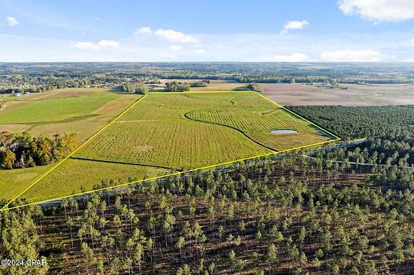 92 Acres of Agricultural Land for Sale in Vernon, Florida